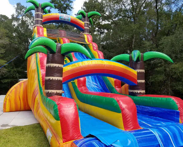 Dolphin Inflatable Water Slide - Image 3