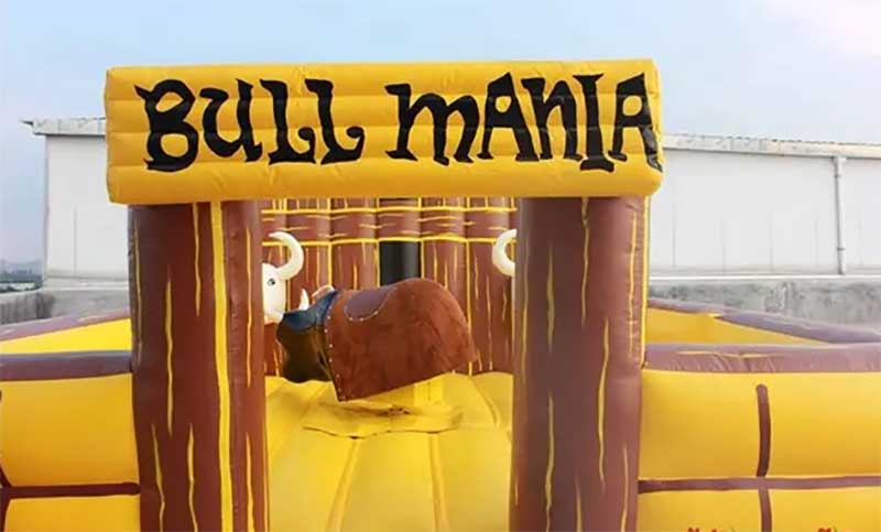 Inflatable Mechanical Bull For Sale - Image 7