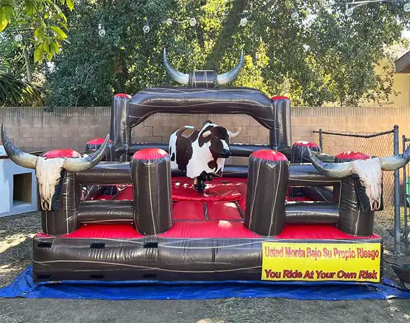 Inflatable Mechanical Bull For Sale - Image 8