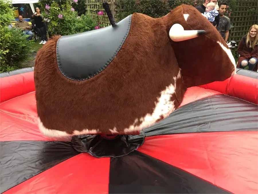 Inflatable Mechanical Bull For Sale - Image 9